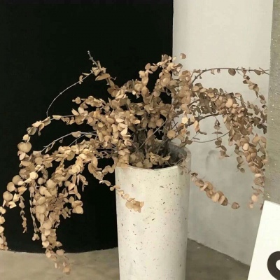 Furry插画创意构思FurryQQ群